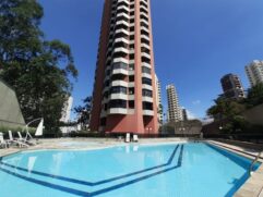 Os leilões acontecem entre os dias 14 de setembro e 1º de outubro, no site da Biasi Leilões