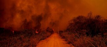 Segundo dados do Centro Nacional de Monitoramento e Alertas de Desastres Naturais (Cemaden), 92% das pequenas propriedades do Pantanal tiveram mais de 80% da área devastada pelo fogo
