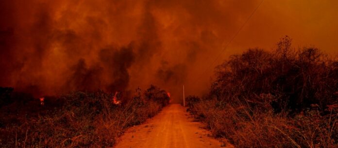 Segundo dados do Centro Nacional de Monitoramento e Alertas de Desastres Naturais (Cemaden), 92% das pequenas propriedades do Pantanal tiveram mais de 80% da área devastada pelo fogo