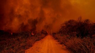 Segundo dados do Centro Nacional de Monitoramento e Alertas de Desastres Naturais (Cemaden), 92% das pequenas propriedades do Pantanal tiveram mais de 80% da &aacute;rea devastada pelo fogo