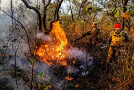 Se comparado com 2019, quando setembro teve 2.887 focos detectados em 30 dias na região do Pantanal, o mesmo mês de 2020 já apresenta uma alta de 94%, segundo dados do Inpe