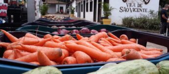 Entre os produtos, estão verduras, legumes e frutas, além de alimentos derivados de leite e de soja