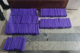 Foram encontrados 110 tabletes de maconha