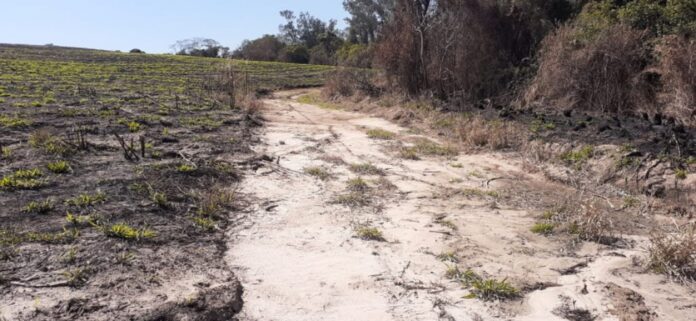 Segundo informações da Polícia Ambiental, cerca de 555 mil metros quadrados de mata foram destruídos
