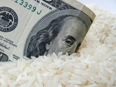 Grao de arroz e dollar