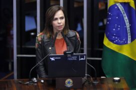 A coordenadora da Bancada Feminina na Câmara, deputada Professora Dorinha Seabra Rezende