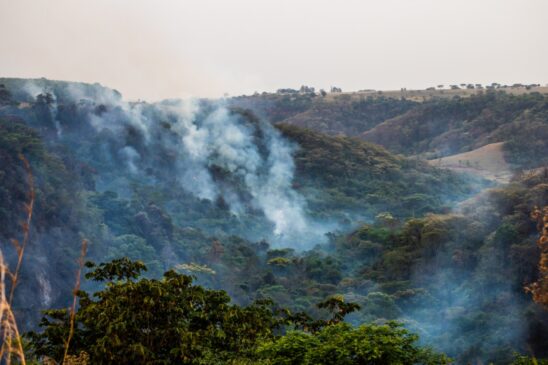Tempo seco é a principal causa para aumento nos incêndios em 2020; na foto, a região de Marília