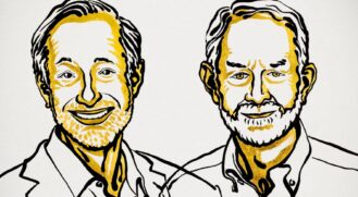 Paul Milgrom e Robert Wilson foram os vencedores do Prêmio Nobel de Economia de 2020