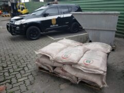 Suspeita é a de que a droga tivesse como destino o Porto de Valência, na Espanha