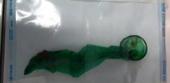 Camisinha foi encontrada no ânus do animal