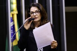 A deputada Norma Ayub (DEM-ES) é a autora do projeto