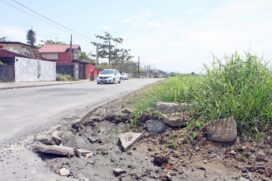Buracos e mato alto afetam comércio na avenida da praia, a partir do Cibratel II, que se estente até o Jardim Grandesp