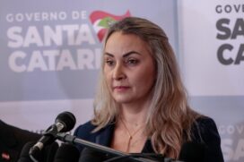 Governadora interina de Santa Catarina, Daniela Reinehr