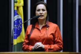 A deputada Lauriete é a autora do projeto