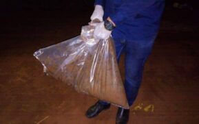De acordo com a Polícia Civil, as covas onde estavam os cadáveres tinham cerca de 1,5 metro de profundidade