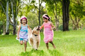 Segundo a veterin&aacute;ria Nat&aacute;lia Lopes, algumas ra&ccedil;as s&atilde;o mais recomendadas para crian&ccedil;as por terem o perfil brincalh&atilde;o e serem resilientes com o contato