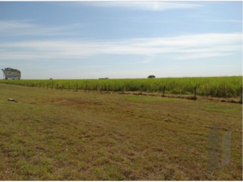 Proposta prevê de conversão de 40 milhões de hectares de pastagens degradadas para a produção sustentável de alimentos