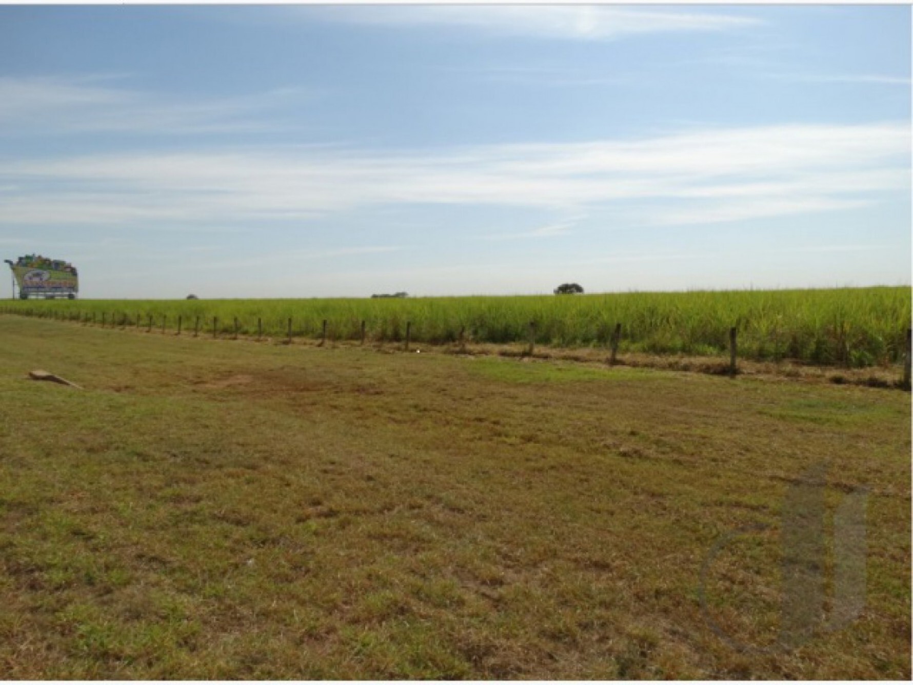 Proposta prevê de conversão de 40 milhões de hectares de pastagens degradadas para a produção sustentável de alimentos
