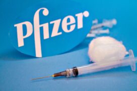 A Pfizer disse que buscará o registro no Brasil da sua vacina contra o VSR (vírus sincicial respiratório) em recém-nascidos