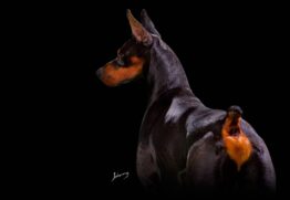 American Kennel Club