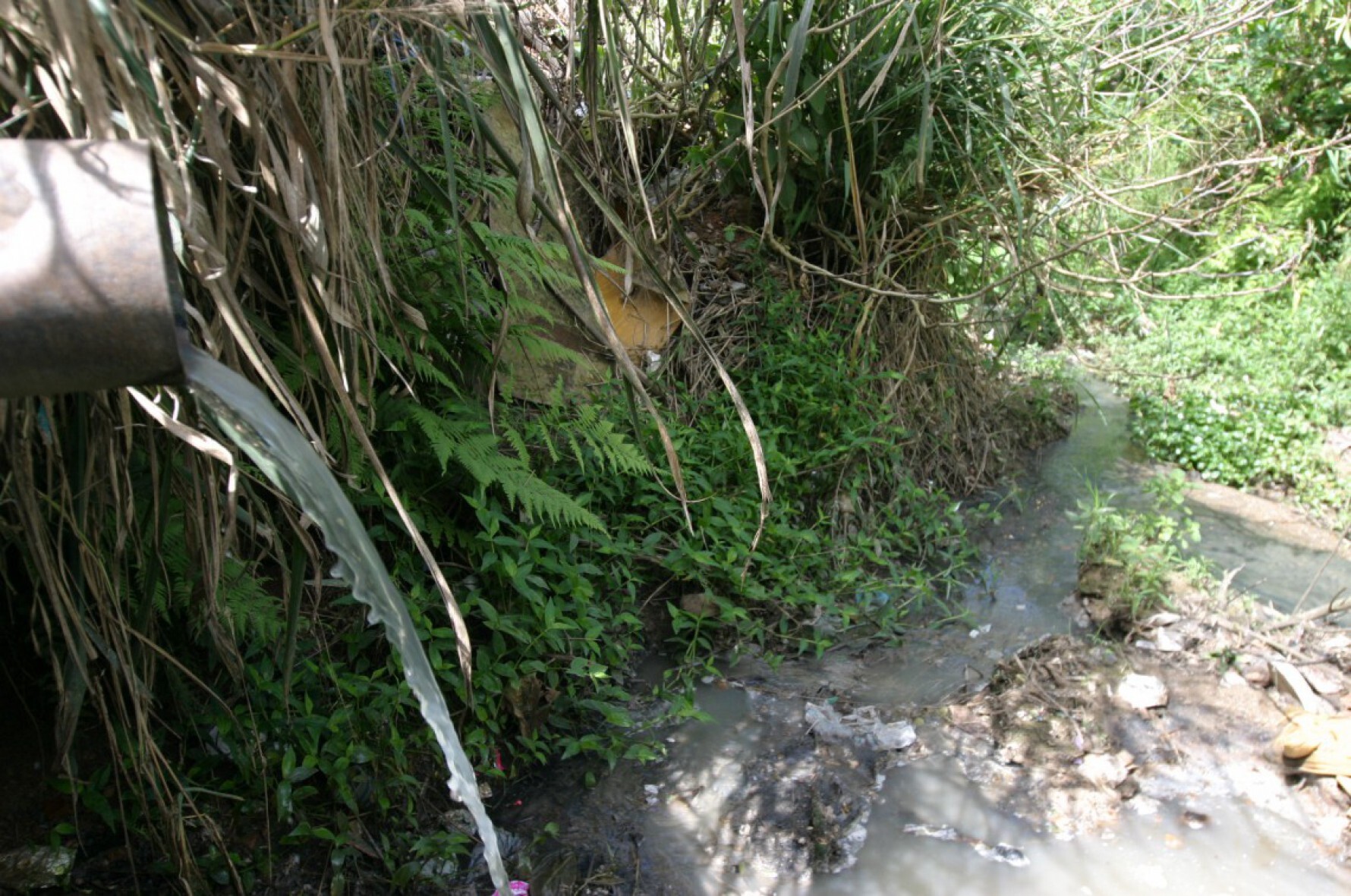 Paulistanos despejam diariamente 534,2 mil litros de esgoto sem qualquer tratamento em rios e córregos.