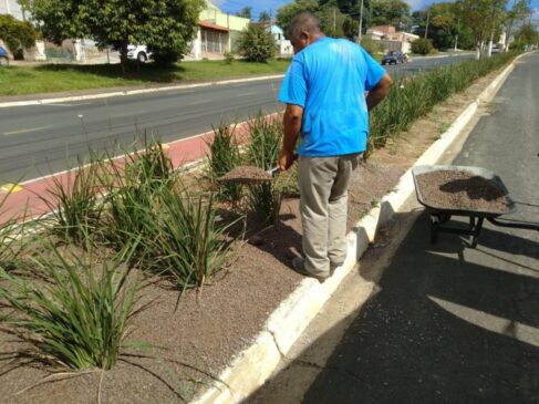 Serviço de revitalização no canteiro central do bairro foi realizado pela prefeitura na última semana