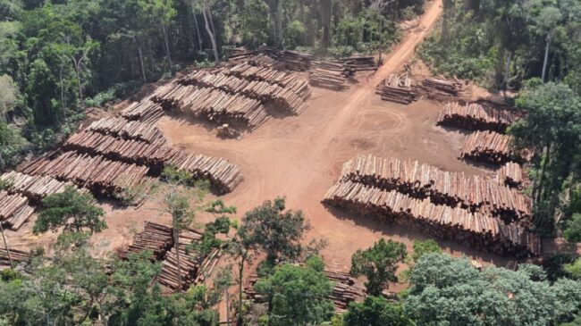 Em 2022, segundo o Imazon, o desmatamento de áreas protegidas da região chegou a 1.431 km²
