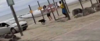 Mulher avança com carro para cima de agressor e quase atropela um cachorro