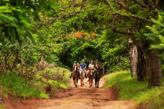 Santa Clara Eco Resort fica em Dourado