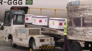 Carga chegou no Aeroporto Internacional de Guarulhos
