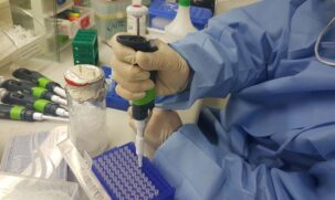 Nas &uacute;ltimas semanas, a Europa tornou-se novamente o epicentro da pandemia