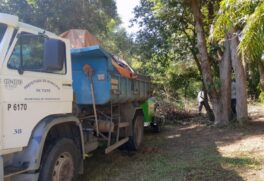 Serviços de poda no parque ecológico da cidade de Tietê