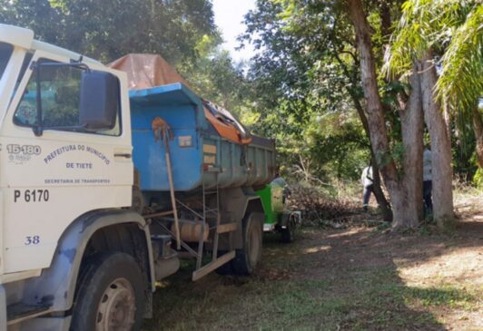 Serviços de poda no parque ecológico da cidade de Tietê