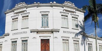 O Instituto Butantan vai iniciar já em abril os testes em humanos de um soro contra a Covid feito a partir do plasma do sangue de cavalos expostos ao Sars-CoV-2.
