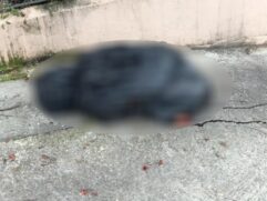 PM encontrou no último sábado o corpo de uma mulher esquartejado, dentro de sacos plásticos