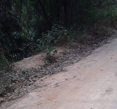 Corpo decapitado foi encontrado em Itupeva
