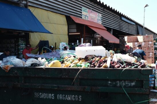 Dados demonstram que vão para o lixo cerca de 150 toneladas de alimentos por dia na própria Ceagesp