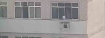 Uma moradora da Ilha do Governador (RJ) filmou, ontem, um homem colocando uma criança no parapeito da janela de um apartamento da região.