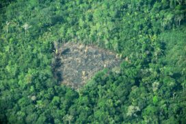 Queimadas na Amaz&ocirc;nia,