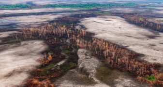 O fogo é usado para queimar a vegetação derrubada -e que foi deixada secando- e para limpar pastos