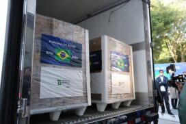Butantan entregou nesta segunda-feira ao Ministério da Saúde um lote de 1 milhão de doses da CoronaVac
