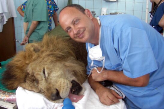 O médico veterinário Coronel Carlos de Almeida Baptista Sobrinho