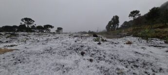 São Joaquim, em Santa Catarina, já havia registrado neve nesta segunda ; nesta terça-feira, a cidade registrou -4,5°C às 8h