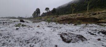 Avanço de massa polar pode causar neve ou chuva congelada e geada no Sul do País