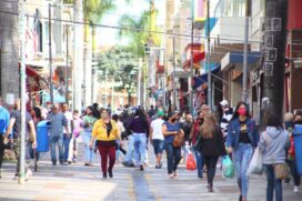 Campinas e região é área endêmica para a febre maculosa