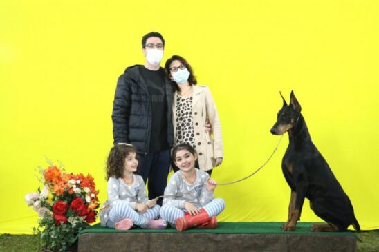 Estudos mostram que os cães e gatos ajudam na saúde dos humanos