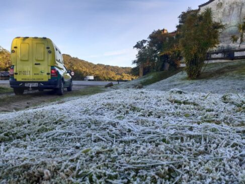Na Rodovia dos Imigrantes, altura do km 40, em S&atilde;o Bernardo do Campo, uma fina camada de gelo cobriu a vegeta&ccedil;&atilde;o