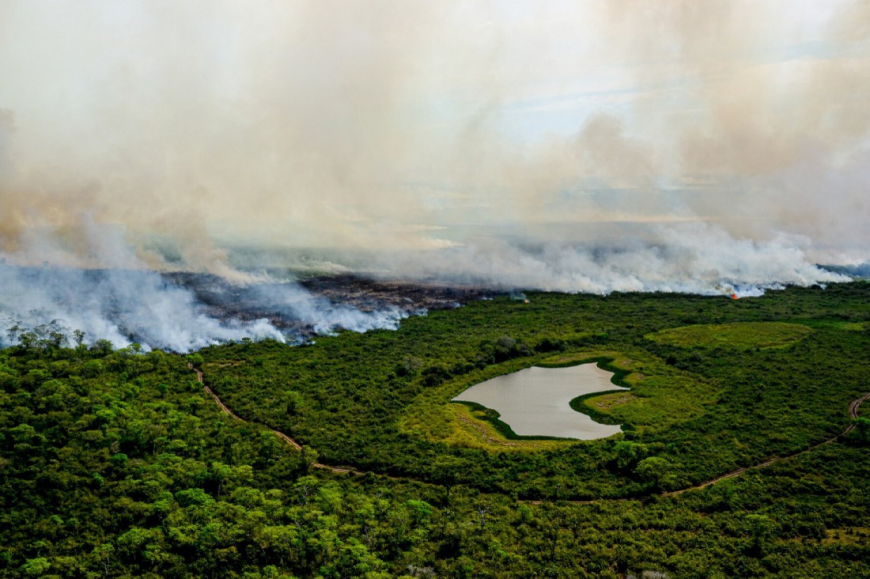 O Brasil sabe pouco sobre a exuberância que é o Pantanal