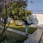 O método libera um produto em forma de neblina para eliminar mosquitos nos bairros da cidade