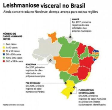 Mapa leishmaniose Brasil